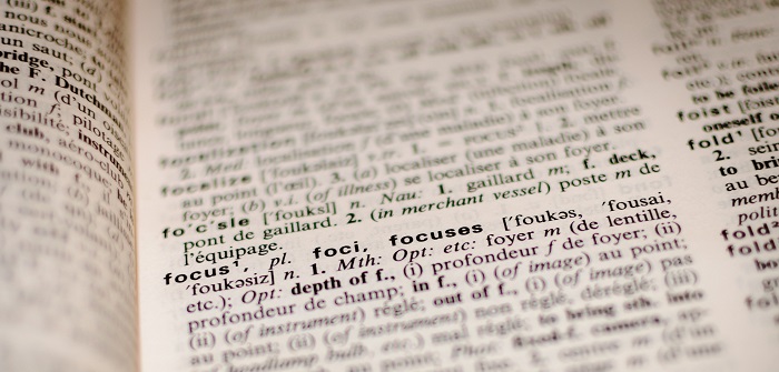 Dictionary Focus