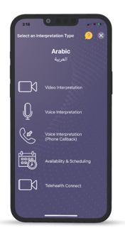 Select Interpretation Arabic (forward) - 2022